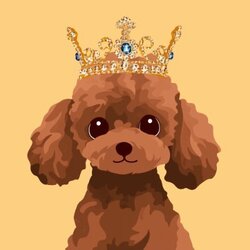 BunPoodle (BUN)