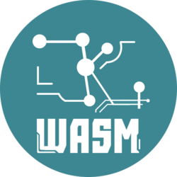 ZKWASM (ZKWASM)