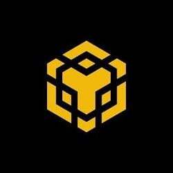 just buy 1bnb (1BNB)