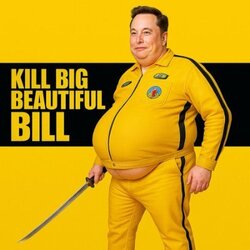 KILL BIG BEAUTIFUL BILL (KBBB)