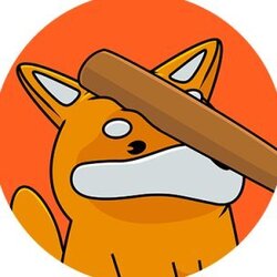 Let's BONK (LETSBONK)