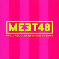 MEET48 (IDOL)
