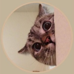 NALA (NALA)
