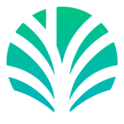 Palm Economy (PALM)