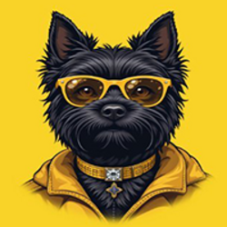 TOTO (TOTO)