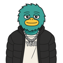 YETI (YETI)