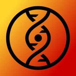 AllDomains Name Service (ADNS)