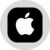 Apple (Ondo Tokenized Stock) (AAPLON)