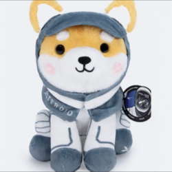 Asteroid The Space Shiba Inu (ASTEROID)