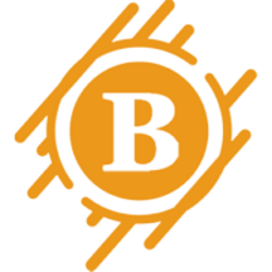 Big Coin (BIG)