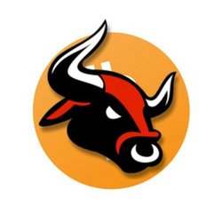 Bitcoin Bull (BITB)