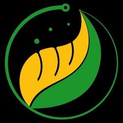 BitFarmings (BFI)