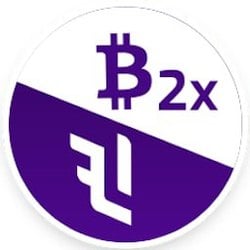 BTC 2x Flexible Leverage Index (BTC2X-FLI)