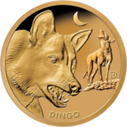 Dingocoin (DINGO)