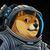 DOGE-1 Satellite (DOGE-1)