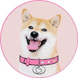 DogeGF (DOGEGF)