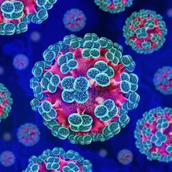 Hantavirus (HANTA)