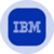 IBM (Ondo Tokenized Stock) (IBMON)