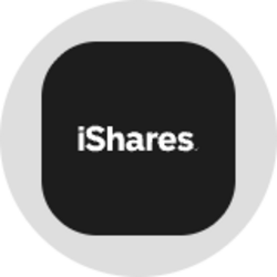 iShares Bitcoin Trust (Ondo Tokenized) (IBITON)