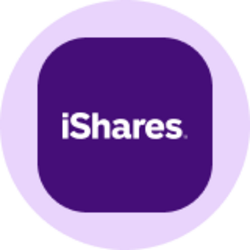 iShares Core MSCI EAFE ETF (Ondo Tokenized ETF) (IEFAON)