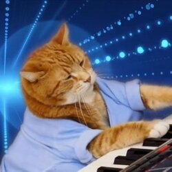 Keyboard Cat (Base) (KEYCAT)