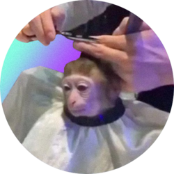 monkeyhaircut (MONK)