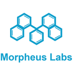 Morpheus Infrastructure Node (MIND)