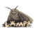 Moth (MOTH)