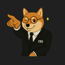 NEW X CEO IS BACK (XFLOKI)