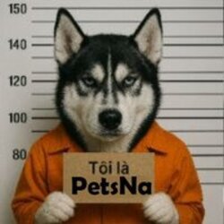 PetsNa ($PETSNA)
