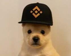 PUP (PUP)