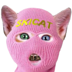 SKI MASK CAT (SKICAT)