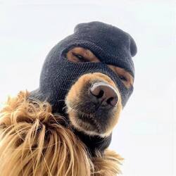 Ski Mask Dog (SKI)