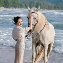 马到成功 (Success) (ɩňƈŊ)