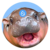 sudeng (HIPPO)