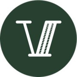 Virtual USD (VUSD)