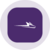 Wolfspeed (Ondo Tokenized) (WOLFON)