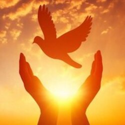 世界和平 (World Peace) (ĸ–Ç•ŒÅ’ŒÅ¹³)