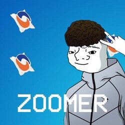 Zoomer (ZOOMER)